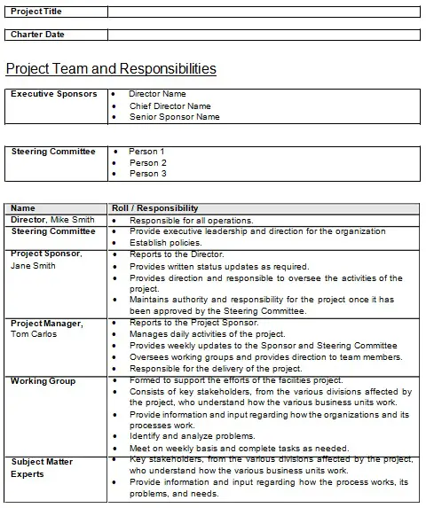 Project Management Charter Templates Hot Sex Picture