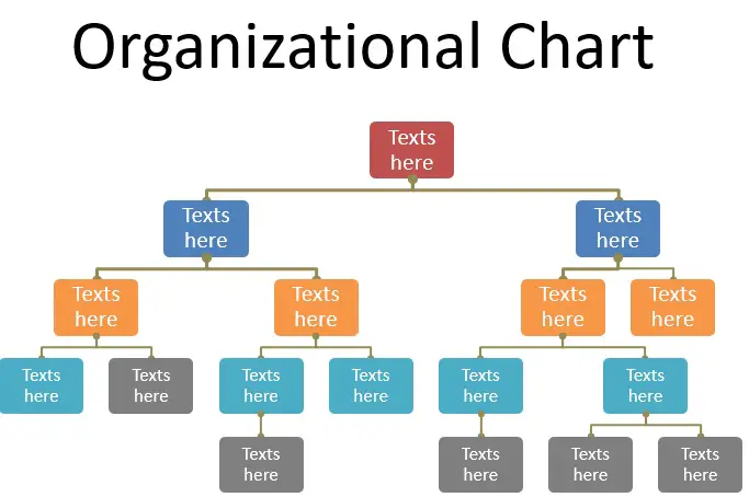 business organizational chart template word