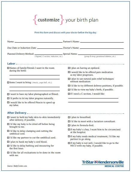 30+ Printable Birth Plan Templates [Word | PDF] - Best Collections