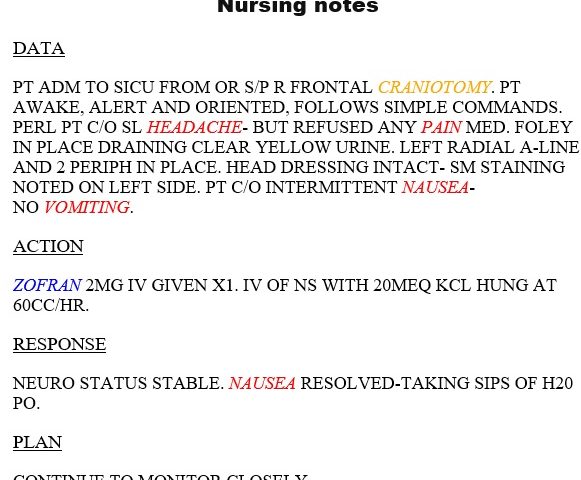free nursing note template 7