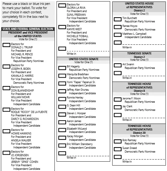18 Free Election Ballot Templates (Voting Forms) Best Collections